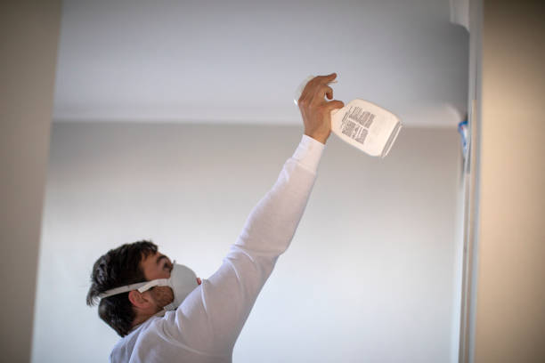 Best Black Mold Removal  in Elkins Rk, PA