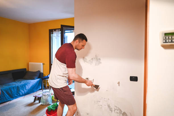 Best Local Mold Removal Service  in Elkins Rk, PA